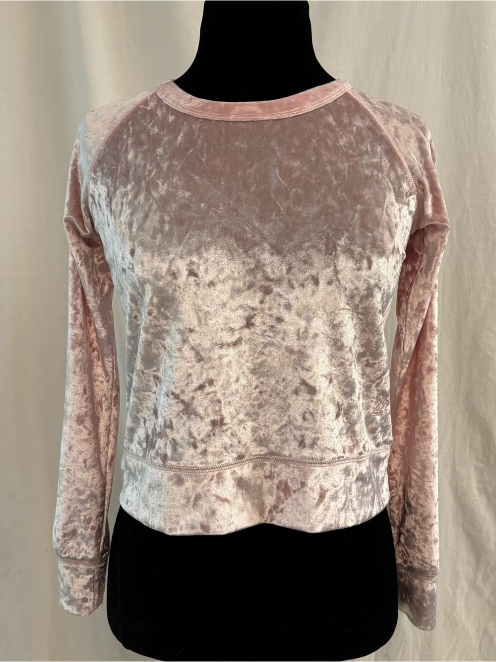 22 Fresh Pink Crushed Velvet Top Soft Girl Y2K Balletcore Long Sleeve